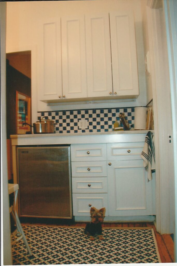 A little Yorkie sits on a blue and white rug, in front of a very small kitchen - with a blue and white checkerboard back drop, shiny white cabinets, a bar size silver refrigerator.