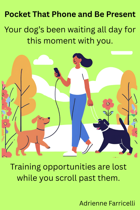 A green poster with a drawing of a girl holding a cell phone while walking her two dogs. One black. One brown. And the title at the top says "Pocket that phone and Be Present!